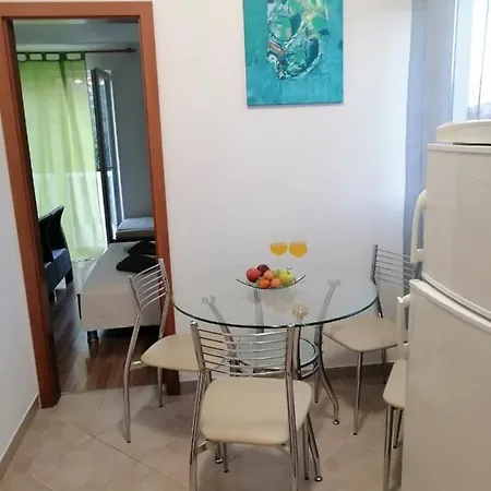 Tina Ražanj